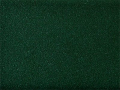 ral_6005